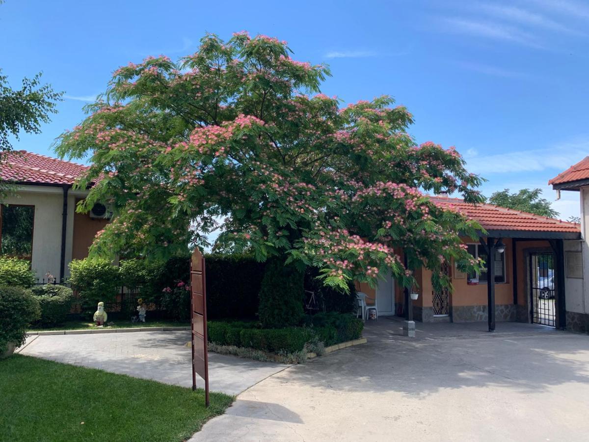 Apartcomplex Chateau Aheloj Kültér fotó